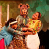 Rose-Marie Christian, Raj Swamy and Mehavi Patel