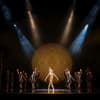 The King Dances: Max Maslen as Le Roi with Artists of Birmingham Royal Ballet