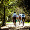 The Handlebards