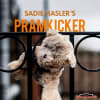 Pramkicker