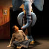 The Slightly Annoying Elephant (previous cast)