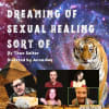 Dreaming of Sexual Healing, Sort Of...