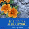 Decolonisation—not just a buzzword…