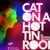 Cat on Hot Tin Roof