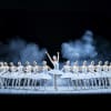 The dancers of Swan Lake performed by the Russian State Ballet of Siberia