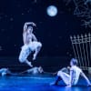 Harrison Dowzell (Swan) and James Lovell (Prince) in Matthew Bourne's Swan Lake