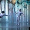 Harry Alexander and Dan Baines in Mariposa