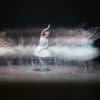 Elmhurst Ballet School