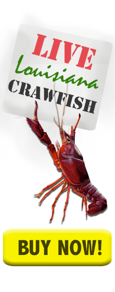 buy crawfish button buy crawfish now