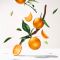 ROGER & GALLET - Bois D' Orange Wellbeing Fragrant Water Άρωμα με Εκχύλισμα Γλυκού & Πικρού Πορτοκαλιού - 100ml