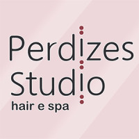 Perdizes Studio Hair e SPA SALÃO DE BELEZA