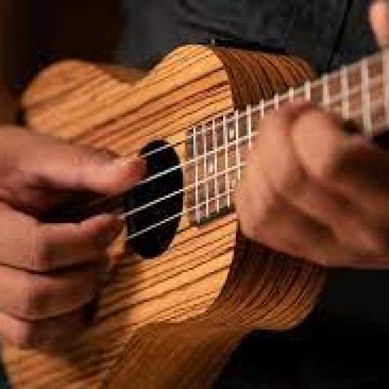 Ukelele Club with John Concilio