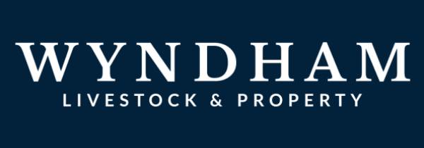 agency-logo