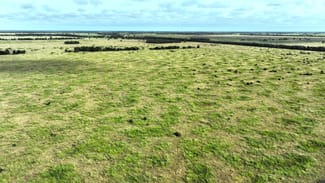Rural / Farming commercial property sold at 0 Dennes Road Meandarra QLD 4422 Rural / Farming commercial property sold at 0 Dennes Road Meandarra QLD 4422