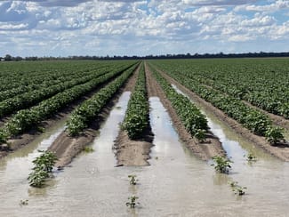 Rural / Farming commercial property sold at 1274 Goodar Road Goodar QLD 4390