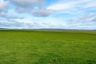 Rural / Farming commercial property for sale at Rushy Lagoon TAS 7264