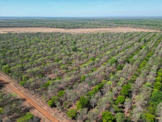Rural / Farming commercial property sold at Douglas-daly NT 0822 Rural / Farming commercial property sold at Douglas-daly NT 0822