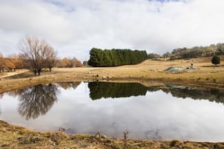 Rural / Farming commercial property sold at 175 Tumbledown Road Peak View NSW 2630 Rural / Farming commercial property sold at 175 Tumbledown Road Peak View NSW 2630