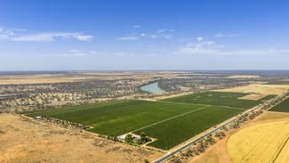 Rural / Farming commercial property for sale at 14921 & 14985 Sturt Highway Wigley Flat SA 5330