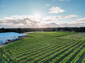 Rural / Farming commercial property for sale at Capel Vale Wines 118 Mallokup Road Capel WA 6271