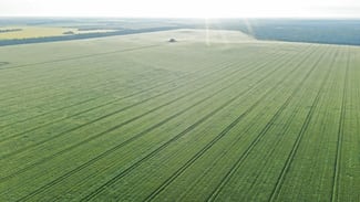 Rural / Farming commercial property for sale at 3531 Goodar Road Goodar QLD 4390 Rural / Farming commercial property for sale at 3531 Goodar Road Goodar QLD 4390