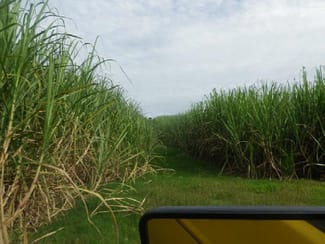 Rural / Farming commercial property for sale at 11 Coldwater Road Abergowrie QLD 4850