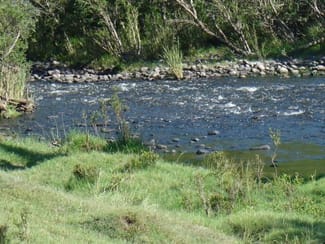 Rural / Farming commercial property sold at 1252 Tabulam Road Tabulam NSW 2469 Rural / Farming commercial property sold at 1252 Tabulam Road Tabulam NSW 2469