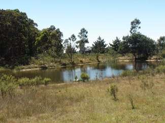 Rural / Farming commercial property sold at 2 Kjoller Rd Clergate NSW 2800 Rural / Farming commercial property sold at 2 Kjoller Rd Clergate NSW 2800