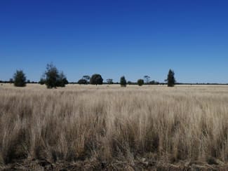 Rural / Farming commercial property sold at Tara QLD 4421