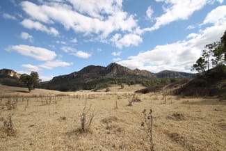 Rural / Farming commercial property sold at 99 Growee Road Rylstone NSW 2849