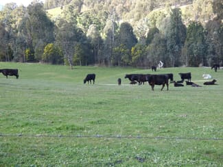 Rural / Farming commercial property sold at Myrtleford VIC 3737 Rural / Farming commercial property sold at Myrtleford VIC 3737