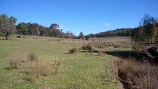 Rural / Farming commercial property sold at 655 Monaghans Rd Manildra NSW 2865 Rural / Farming commercial property sold at 655 Monaghans Rd Manildra NSW 2865