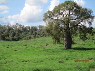 Rural / Farming commercial property sold at 787 ACRES GRAZING COUNTRY Moola QLD 4403