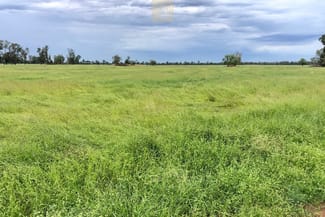 Rural / Farming commercial property sold at "Werona" 4316 Cypress Way Gwabegar NSW 2356