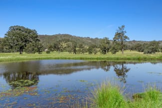 Rural / Farming commercial property sold at 204 Torryburn Road via Paterson NSW 2421 Rural / Farming commercial property sold at 204 Torryburn Road via Paterson NSW 2421