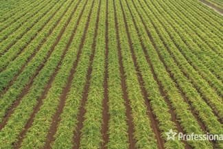 Rural / Farming commercial property for sale at 139 Paringi Road, Paringi Via Monak NSW 2738