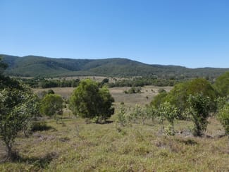 Rural / Farming commercial property sold at 173 RED HILL ROAD Woowoonga QLD 4621