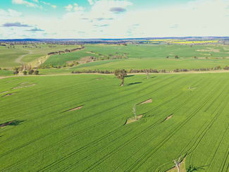 Rural / Farming commercial property sold at 00 Currawong Rd Young NSW 2594 Rural / Farming commercial property sold at 00 Currawong Rd Young NSW 2594
