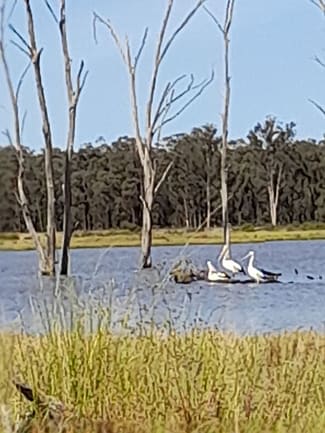 Rural / Farming commercial property sold at 936 West Mialla Road Balladoran NSW 2822 Rural / Farming commercial property sold at 936 West Mialla Road Balladoran NSW 2822