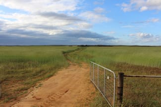 Rural / Farming commercial property sold at 570 Ridgway Road Lameroo SA 5302 Rural / Farming commercial property sold at 570 Ridgway Road Lameroo SA 5302