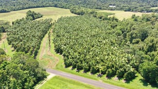 Rural / Farming commercial property for sale at East Feluga QLD 4854 Rural / Farming commercial property for sale at East Feluga QLD 4854