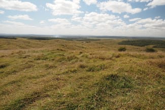 Rural / Farming commercial property sold at 417 Jackson Road Gogango QLD 4702