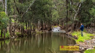 Rural / Farming commercial property sold at 86 Rockford Lane Mudgee NSW 2850