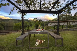 Rural / Farming commercial property sold at 940 Currumbin Creek Road Currumbin Valley QLD 4223 Rural / Farming commercial property sold at 940 Currumbin Creek Road Currumbin Valley QLD 4223