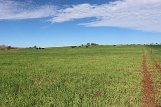 Rural / Farming commercial property sold at 319 Back Glenrae Road Glenrae QLD 4626