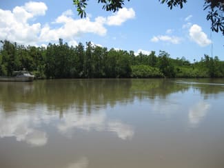 Rural / Farming commercial property for sale at 680 Bluff Road Bilyana QLD 4854