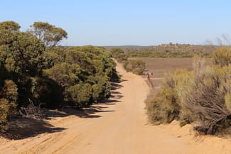 Rural / Farming commercial property sold at 102 Rosy Pine Road Pinnaroo SA 5304