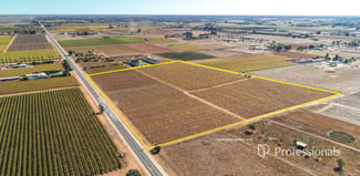 Rural / Farming commercial property for sale at 194 Fifth Street Merbein VIC 3505