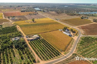 Rural / Farming commercial property for sale at 431 Woomera Avenue Red Cliffs VIC 3496 Rural / Farming commercial property for sale at 431 Woomera Avenue Red Cliffs VIC 3496
