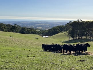 Rural / Farming commercial property sold at 1205 Range Road Mclaren Flat SA 5171 Rural / Farming commercial property sold at 1205 Range Road Mclaren Flat SA 5171